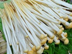 -王奋斗贵州酸汤牛肉火锅