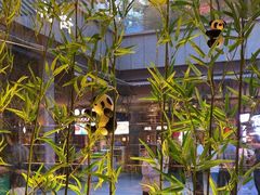 -蓉城小馆(科兴店)