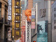 -沈大成(南京东路店)