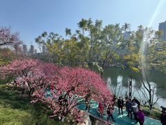 -重庆彩云湖湿地公园