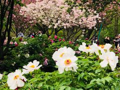 -江南大学(蠡湖校区)