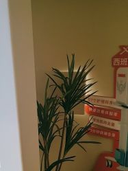 -栖SPA·ONDA ·海菲秀·皑皑科技美肤中心