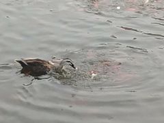 -前关湿地公园