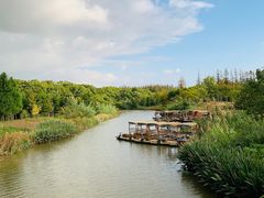 -上海长兴岛郊野公园