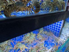 -徐记海鲜(大明宫|北二环店)