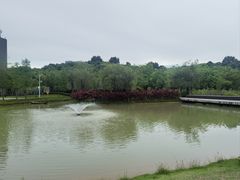-深圳大学(丽湖校区)