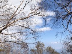 -白草畔自然风景区