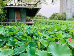 -3W咖啡(国家软件园店)