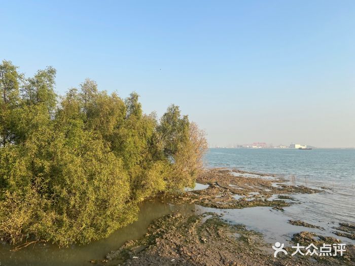 滨海公园图片