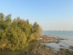 -滨海公园