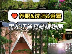 -黑龙江省森林植物园