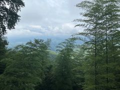 -莫干山风景区