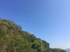 -金鸡山公园