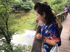 -无染寺