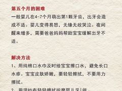 -天鹅到家·保姆月嫂育儿嫂(朝阳店)
