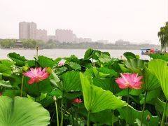 -济南大明湖景区