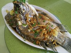 -琼海温泉鹅农家饭店