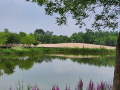 -东郊湿地公园