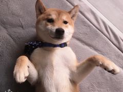 -南京商茂国际酒店(新街口德基广场店)