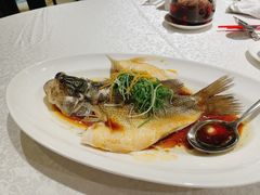 -红棉中餐厅·广州海航威斯汀酒店