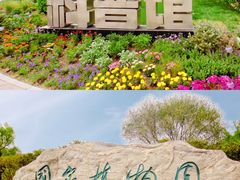 -国家植物园