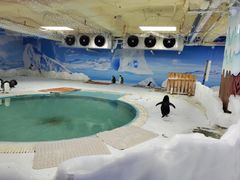 -海合安武汉极地海洋公园