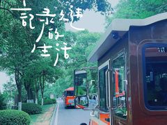 -橘子洲景区