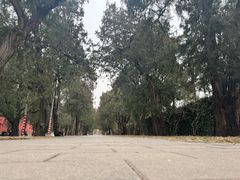 -北京市劳动人民文化宫(太庙)
