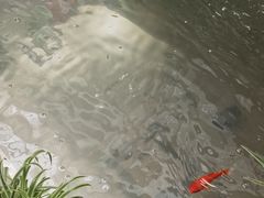 -慈铭体检(北京奥亚分院)