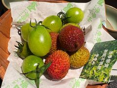 -季季山·云南野生菌火锅(上海首店)