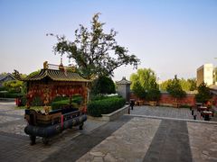 -阳台山自然风景区