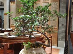 -龙悦湾酒家·八阵鱼生·渔人码头店