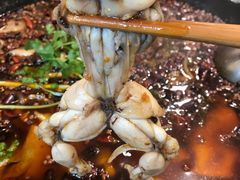 -鸿顺老铁锅美蛙鱼府(解放碑店)