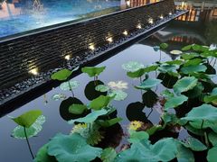 -杭州西子湖四季酒店-WL BISTRO西湖餐厅(灵隐路店)