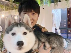 -Husky Go! 哈士奇体验馆·宠物咖啡厅狗咖