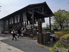-田园东方蜜桃村的田野营地