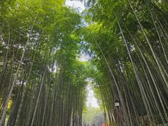 -穹窿山景区