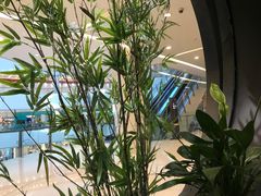 -羲和雅苑•北京烤鸭(乐园道万象城店)