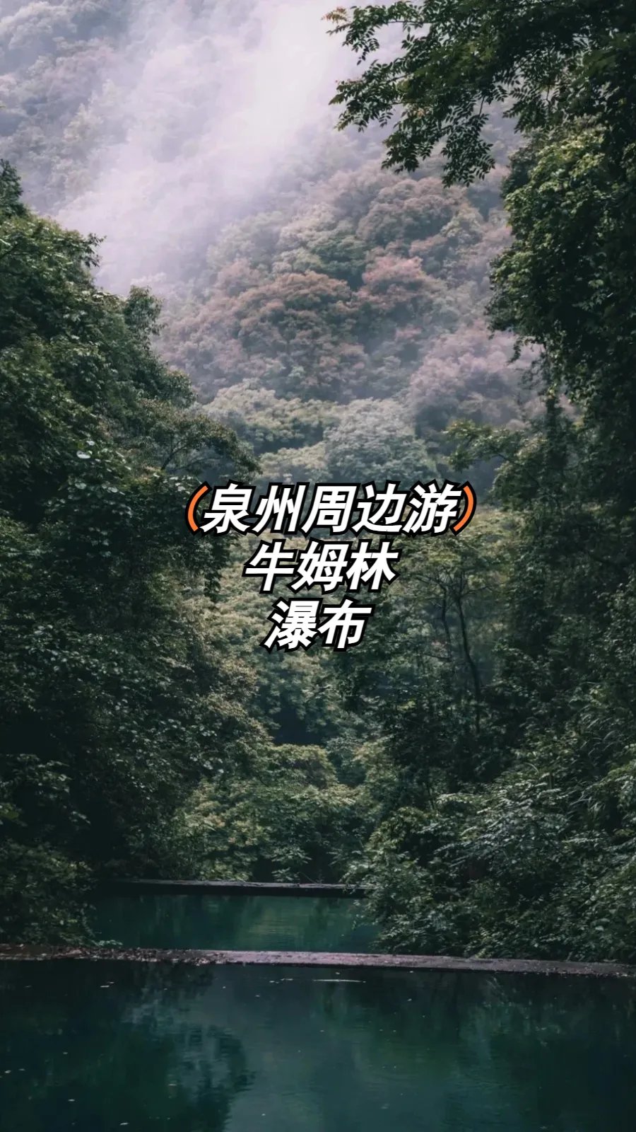 牛姆林简介图片