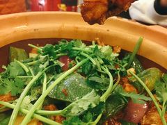 啫啫田鸡煲-紫金食坊(江南西路店)