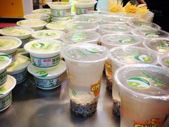 -德禄酸奶(莫家街店)