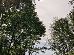 -帽儿山风景区