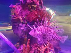 -沈阳海洋探索中心