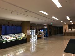 -北京临空智选假日酒店