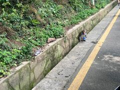 -黔灵山公园
