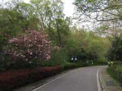 -南京市江宁方山