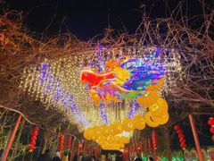-河北村民俗体验园