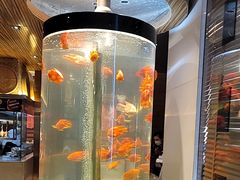 -红鱼湾餐厅(国际大厦店)