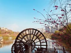 -重庆彩云湖湿地公园