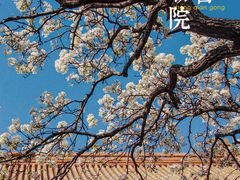 -故宫博物院(故宫)